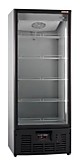 Шкаф холодильный Рапсодия R 700LS (стеклянная распашная дверь)